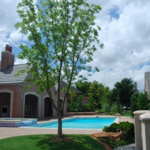 Swimming Pool Landscaping