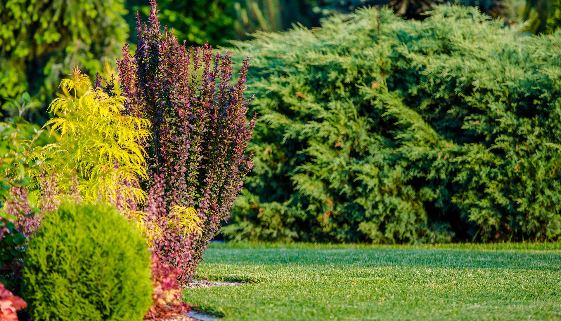 About Landscaping Company