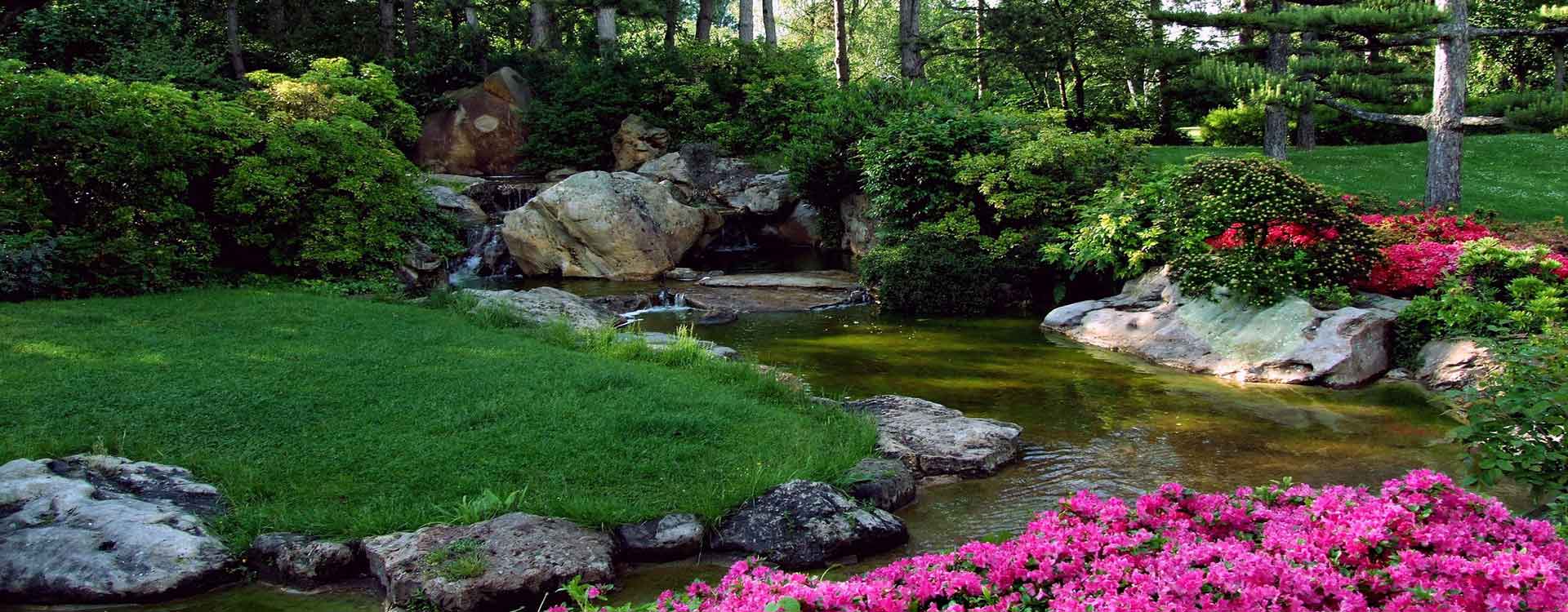 Decorative Rock And Stone Landscape