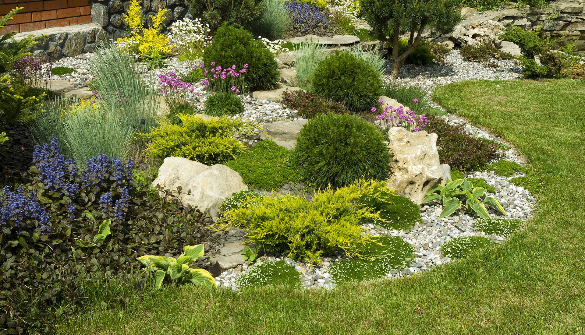 Landscape Design Ideas