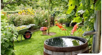 Everything Every Homeowner Should Know About Rain Gardens