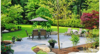 Things (Other) Landscapers Won’t Tell You