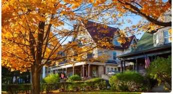 To Rake or Not to Rake: What to do With Fallen Leaves
