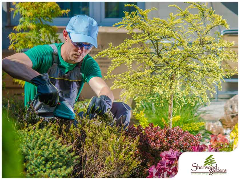Things to Expect When Working With a Landscape Contractor